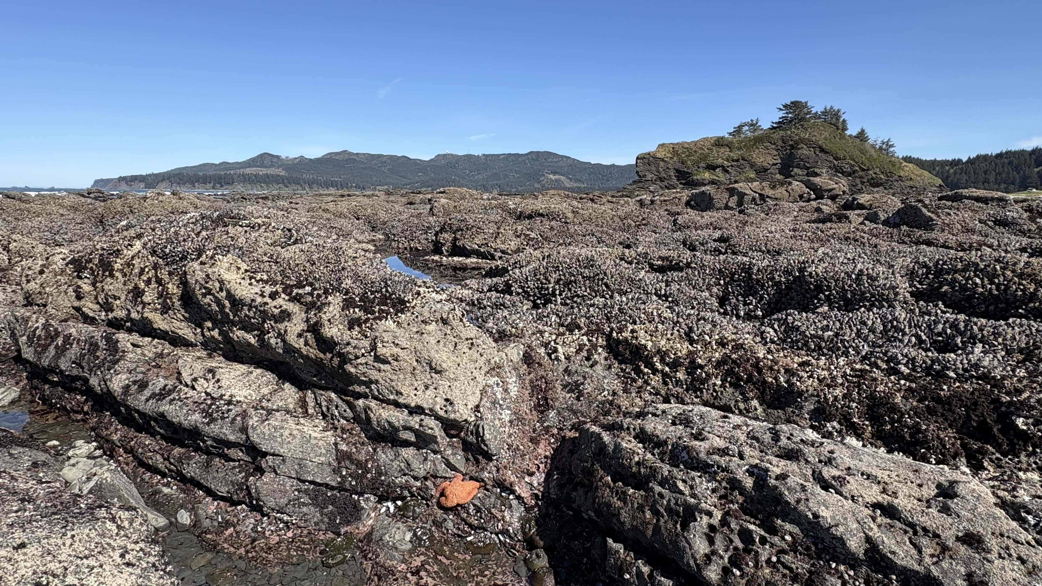 Makah Reservation/Olympic National Park