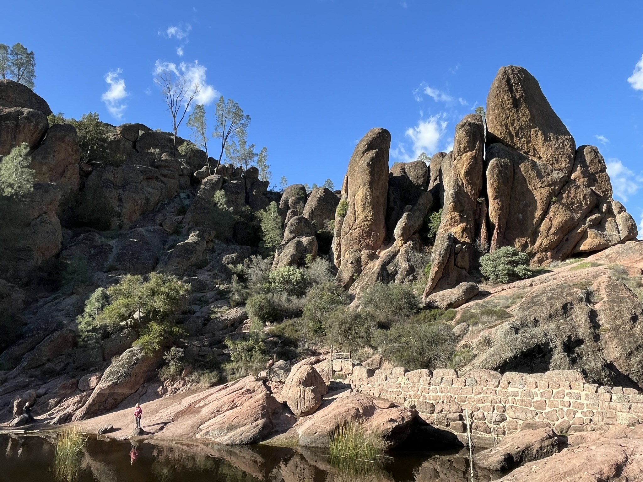 Bear Gulch Reservoir, Pinnacles National Park