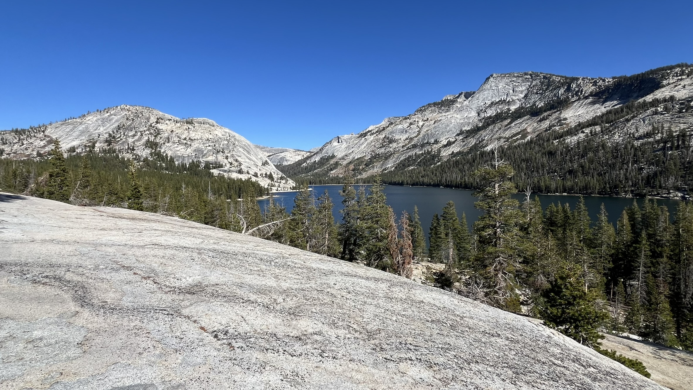 Yosemite National Park